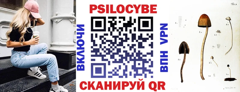 Псилоцибиновые грибы Cubensis  Полевской 