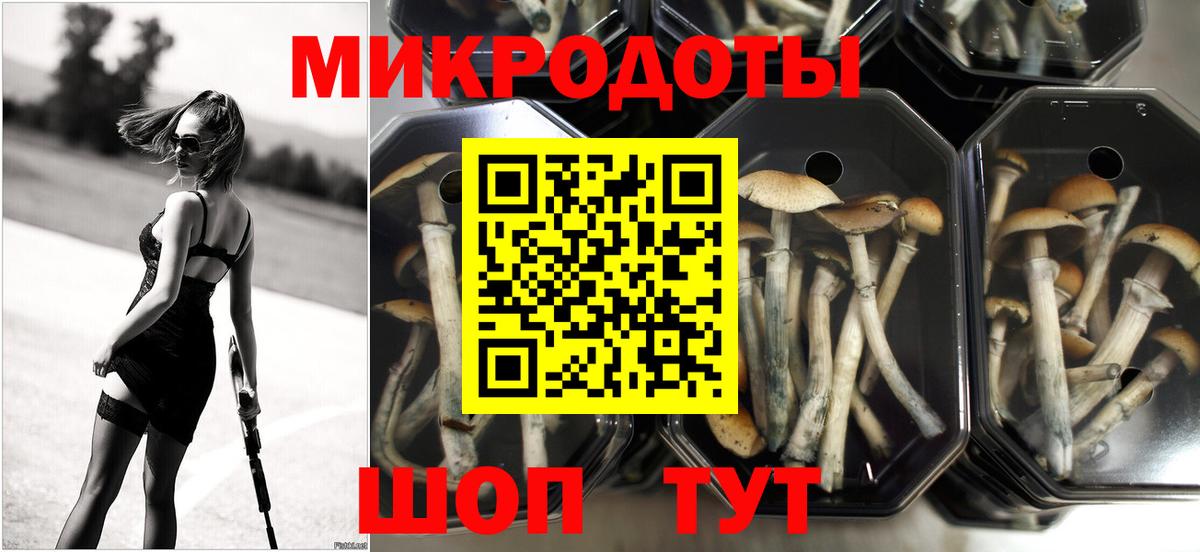 Псилоцибиновые грибы MAGIC MUSHROOMS Полевской